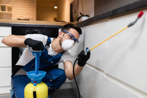 Best Cockroach Control Services  in Sunrise, FL