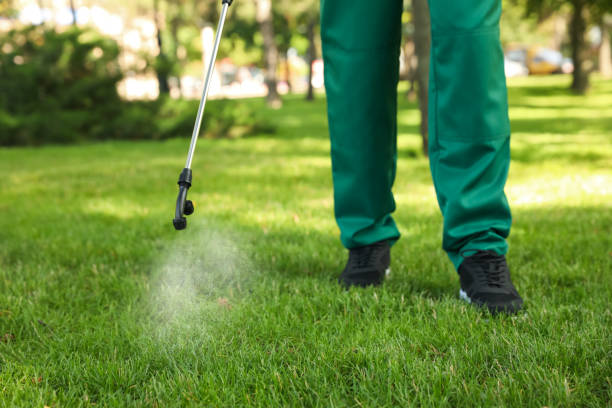 Reliable Sunrise, FL Pest Control Solutions