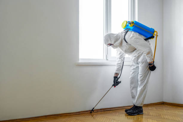 Best Best Pest Control Companies  in Sunrise, FL