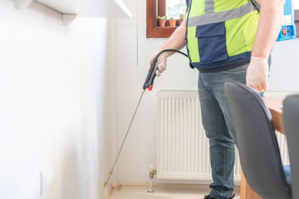 Best Affordable Pest Control Services  in Sunrise, FL