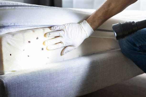 Best Commercial Pest Control Services  in Sunrise, FL