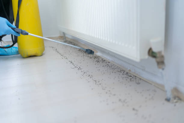 Best Pest Removal Services  in Sunrise, FL